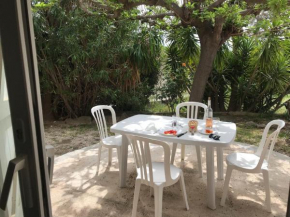 Vacances entre Bormes et Le Lavandou